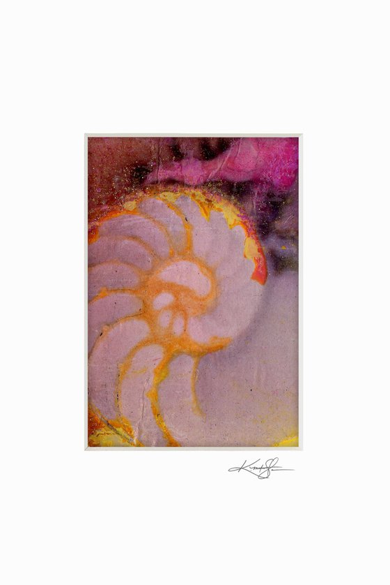 Nautilus Shell Collection 3 - 3 Small Matted paintings by Kathy Morton Stanion