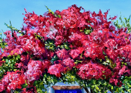 A House with Bougainvillea