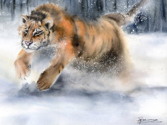 Tiger in Snow