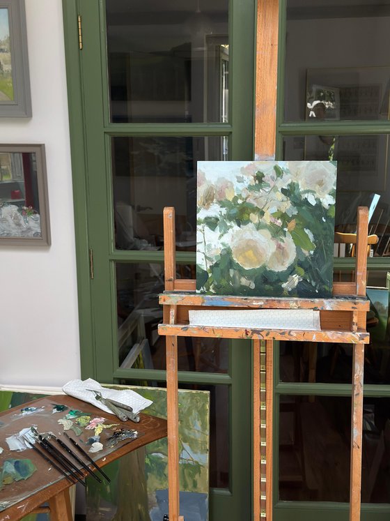 Iceberg Roses, Evening Light