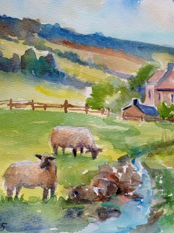 Scottish landscape with sheep