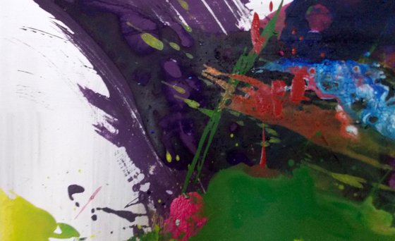 THE FREENZY OF COLOURS