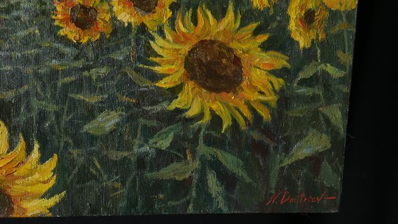 Sunflower Field - original landscape painting