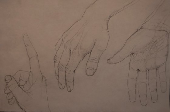 Hand Study  - Three hands