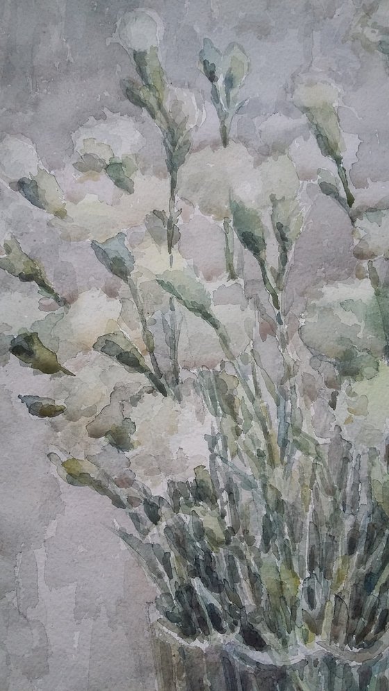 White carnations. Original watercolour painting.