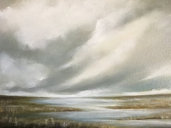 Wetlands