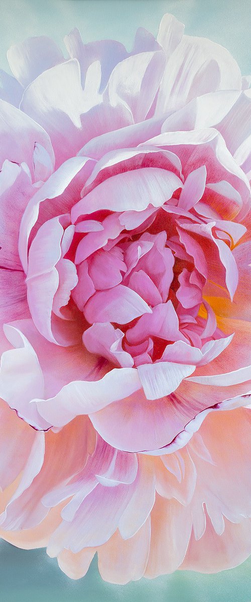 Spring peony by Ira Volkova