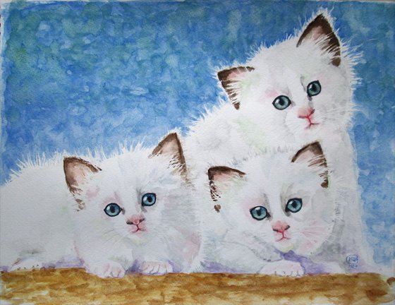 Sweet Ragdoll Kitten Trio Print