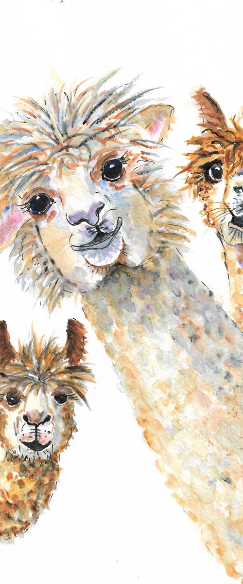 Cute Alpaca Three by MARJANSART
