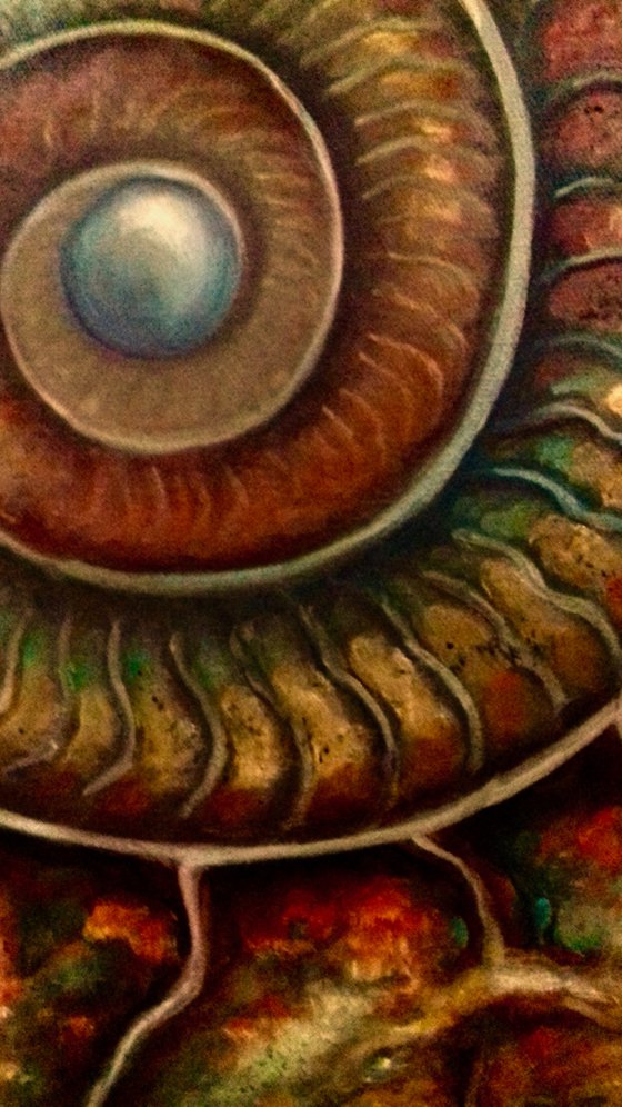 Green and Red Ammonite