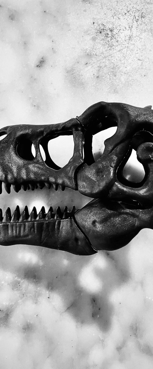 ABC#207 T-Rex by Mattia Paoli