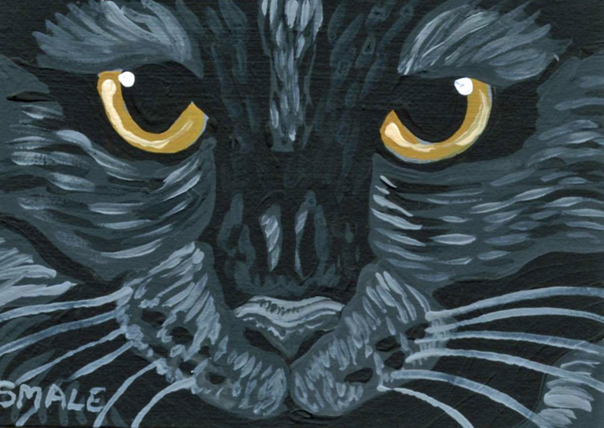 Bombay Black Cat by Carla Smale