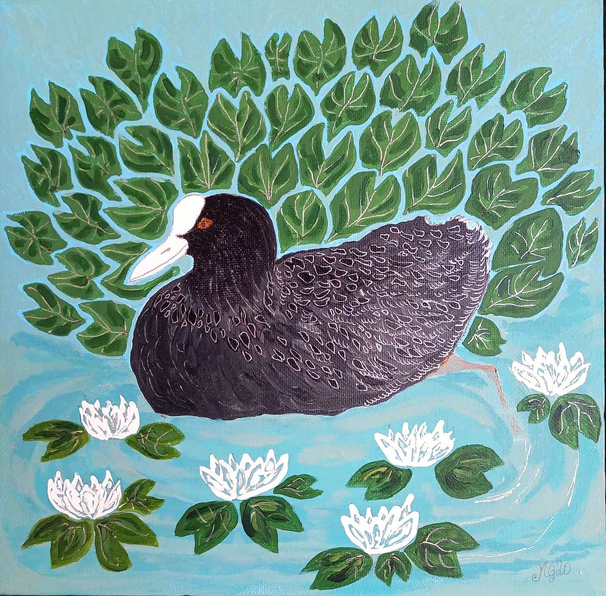 Coot by Monica Green