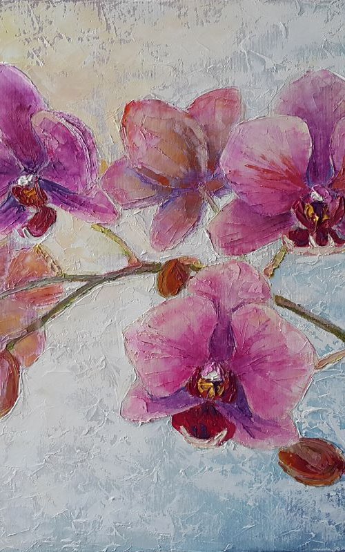 Pink orchids by Mary Voloshyna