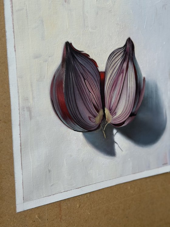 Onion. Still life