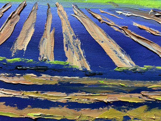 Field of Onions Harvest