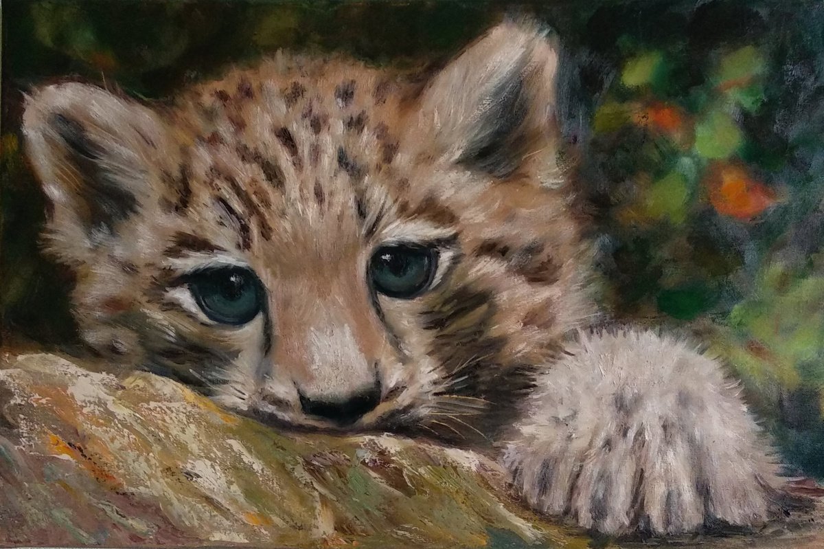 Cute Baby Leopard Wild Cat by Anastasia Art Line