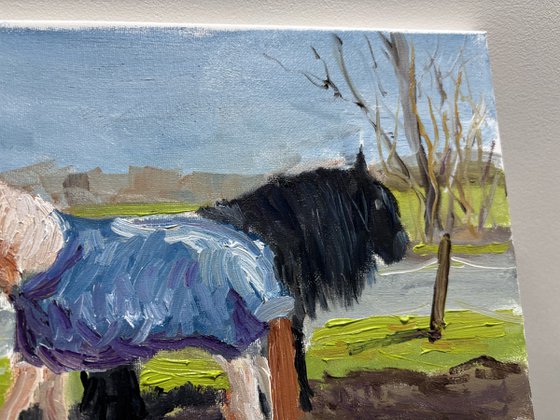 Grazing Horses in the Dutch Countryside