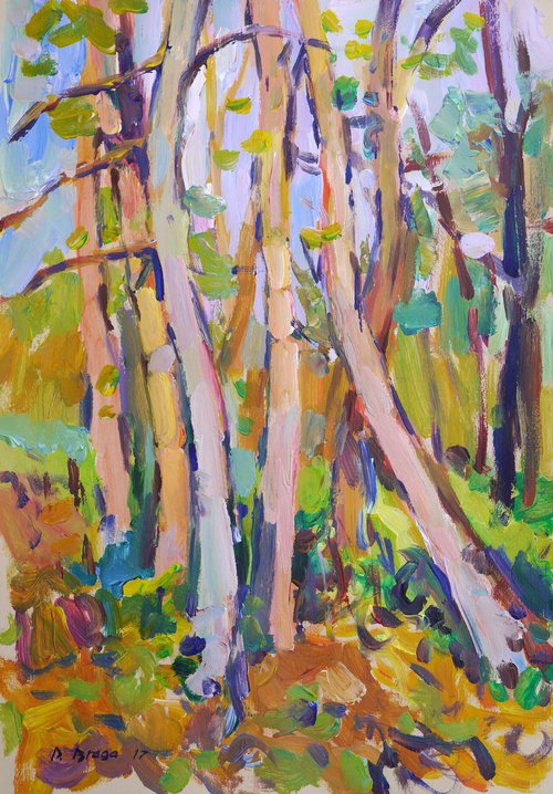 Plein air 19-10-2017 (autumn trunks of trees) by Dima Braga