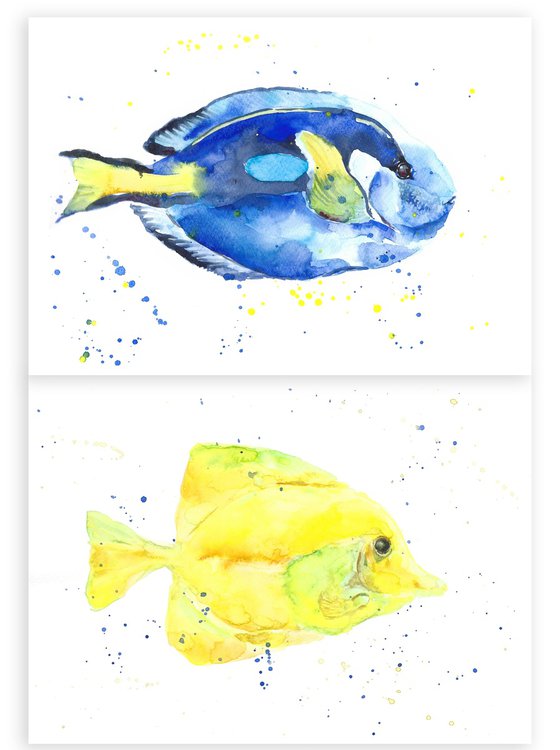 Set of 2 Hippo Pacific Blue tang fish, Angelfish Surgeonfish watercolor Tropical