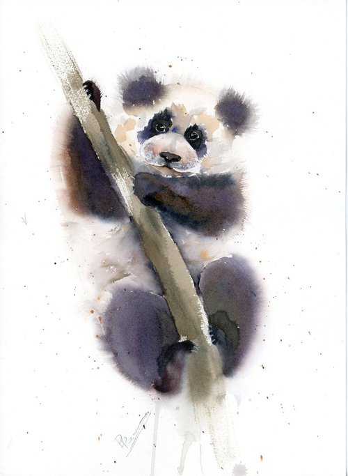 Panda on the tree by Olga Shefranov (Tchefranov)