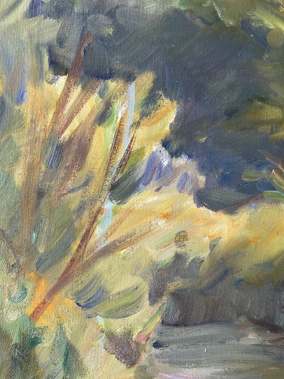 Soft Summer Light