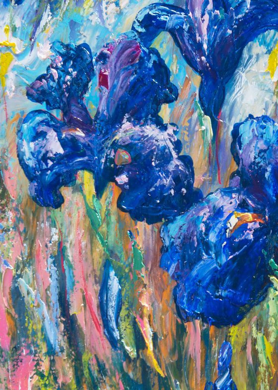 Countryside Irises