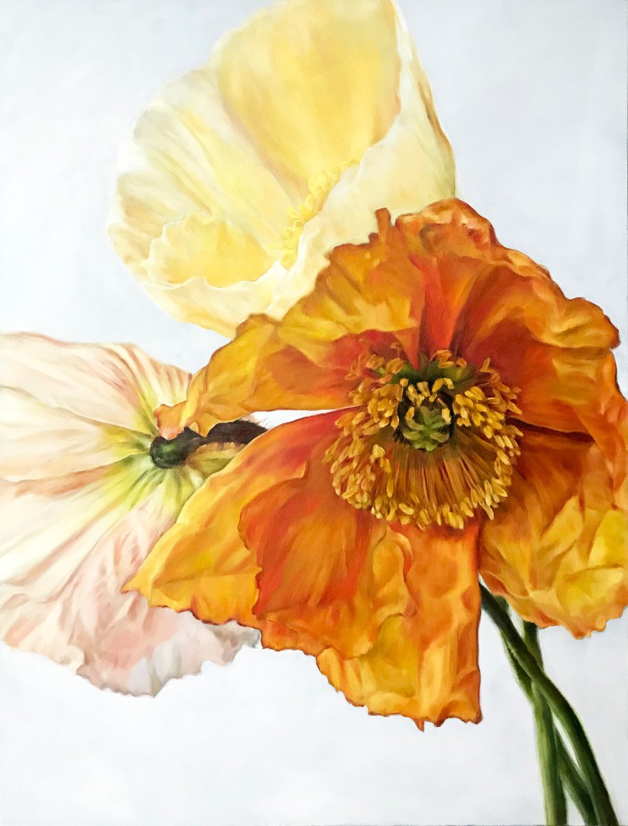 Original oil painting with poppies Charm 60*80 cm by Irina Ivlieva
