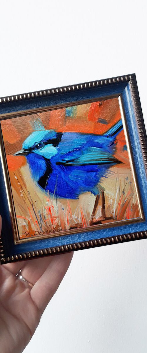 Fairywren bird by Nataly Derevyanko