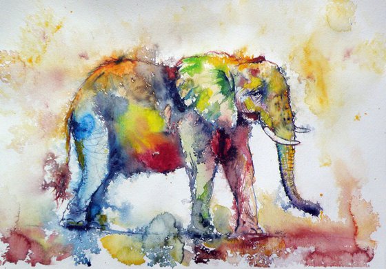 Colorful elephant walking