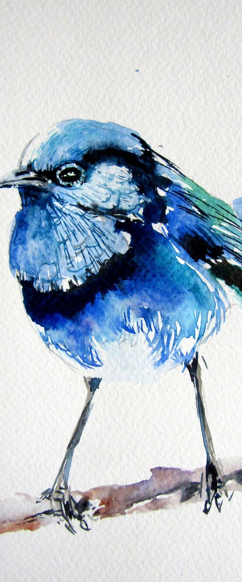 Little blue bird by Kovács Anna Brigitta