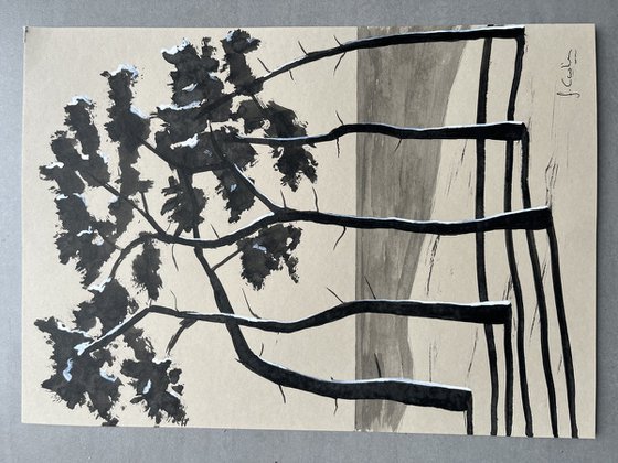 Pinetrees