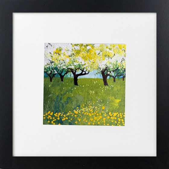 Cherry Blossom Dandelion orchard