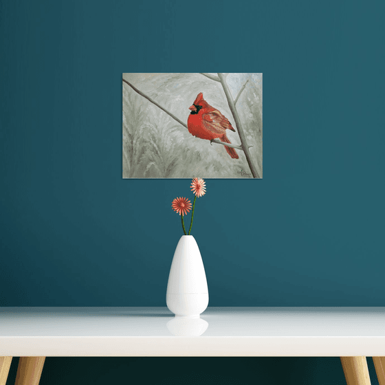 Winter Cardinal