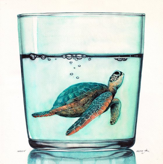 Turtle in Glass