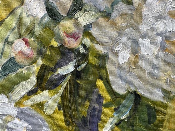Whispers of White Peonies