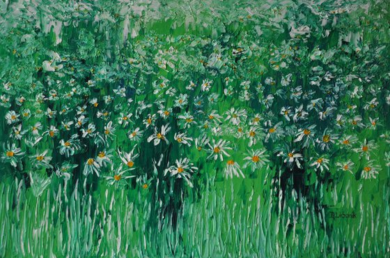 Leucanthemum in grass 3