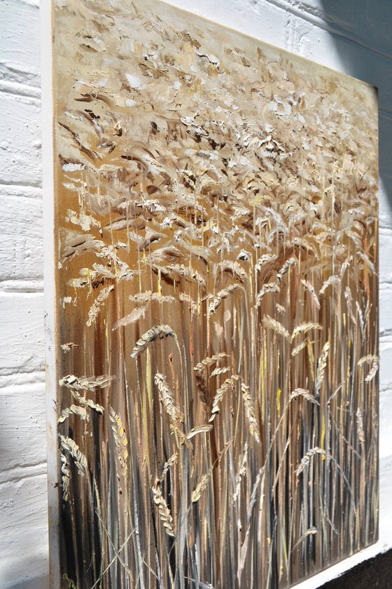 Golden Wheat