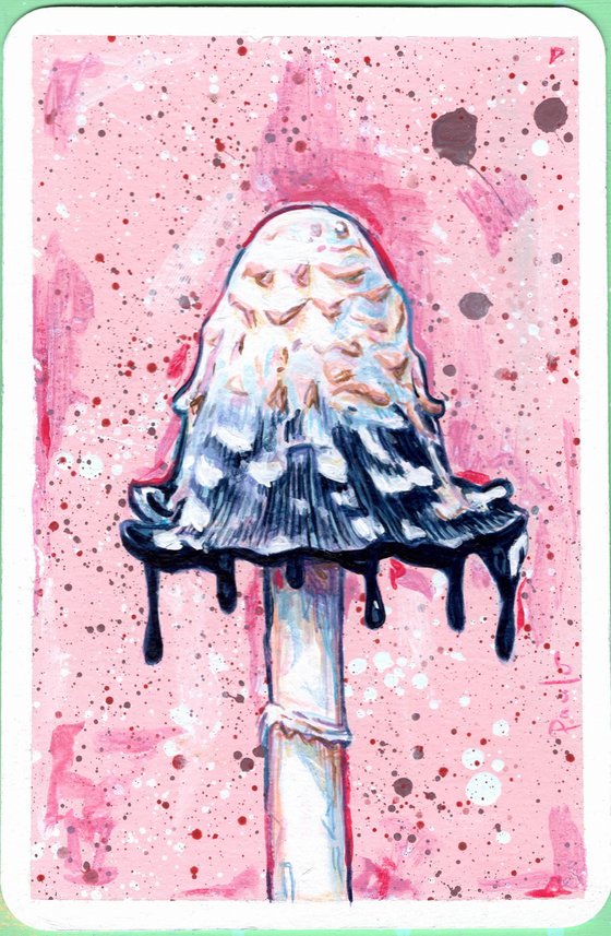 Shaggy ink cap mushroom