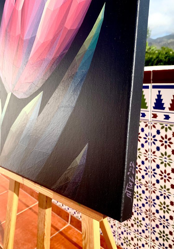 RED CRYSTAL TULIP ON A BLACK