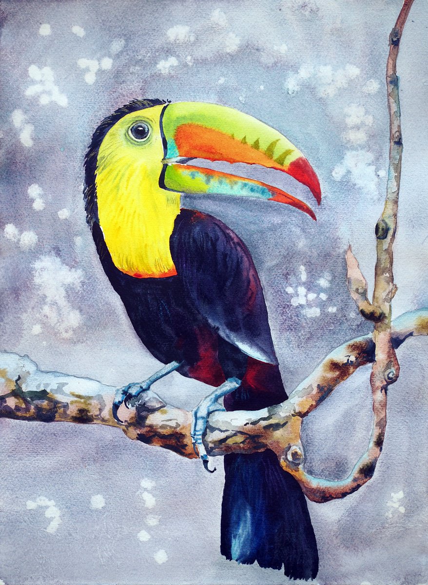 Impressionistic Animal Watercolour By Delnara El, 11 X 15, Tukan, Original Artwork