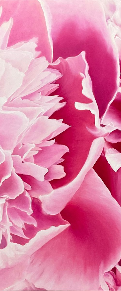 Angel’s Kiss. Peony by Alla Kallass