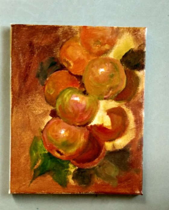 Mandarin Oranges on a branch