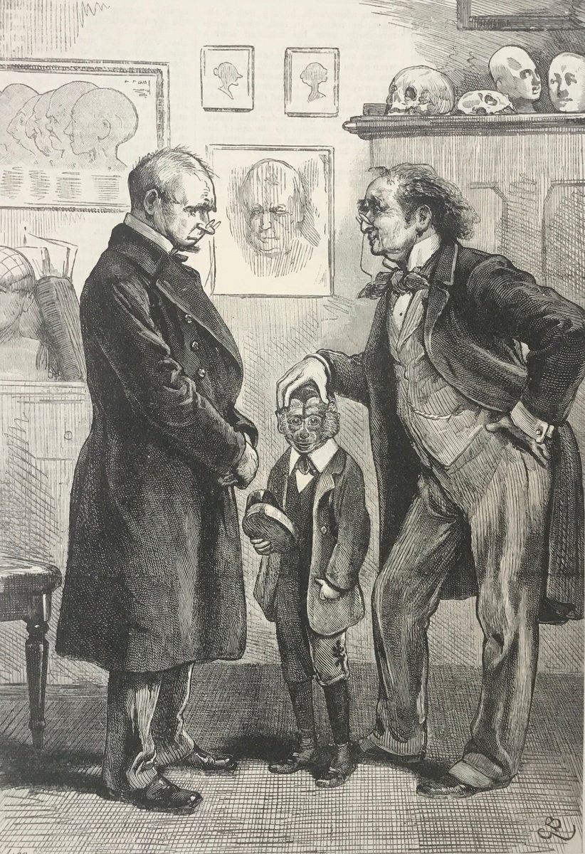 Phrenology and Darwin by Tudor Evans