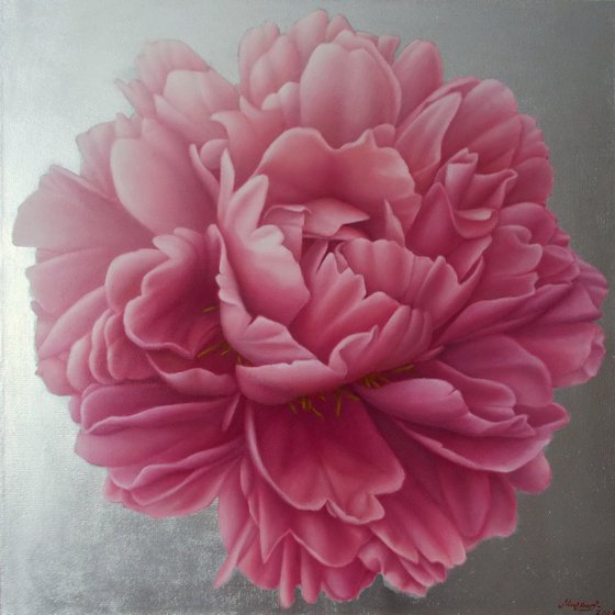 pink peony painting "King of Flowers"