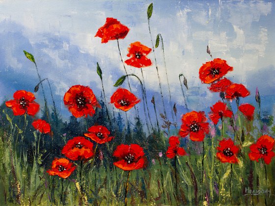 Red flowers , poppies