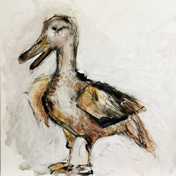 The Duck