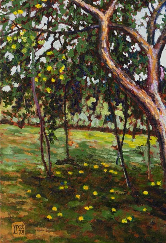 Apple Tree