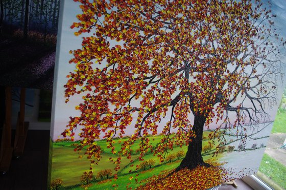 Oak tree in Autumn and Winter