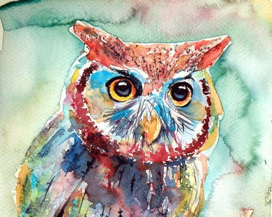 Colorful owl II